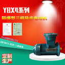二级能耗防爆电动机YBX4-200L-4-30KW隔爆型马达GB18613-2020