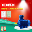 隔爆電動機二級能效YBX4-225M-2W-45KW異步電機ExdIIBT4