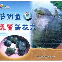 甲魚養殖技術大全視頻教程資料書籍黃沙鱉養殖視頻池塘養中華鱉圖片