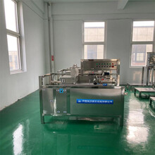 新型全自动豆腐皮机械大型豆皮生产设备金沃豆制品机器