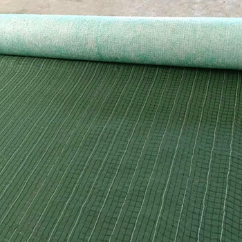 生态草毯高边坡绿化河堤治理抗冲生物毯椰丝毯矿山绿化