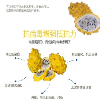 朔州,自产自销火龙果苗商情2022已更新