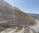 龍巖礦山生態修復SF噴播綠化穩定劑圖片