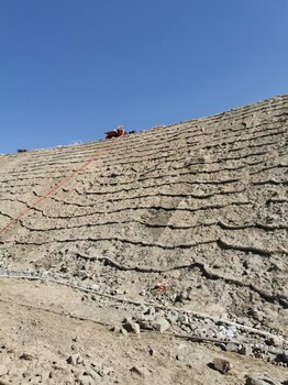 河南邊坡生態(tài)修復技術客土噴播綠化材料