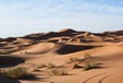 宁夏沙漠沙土改良修复土壤粘合剂
