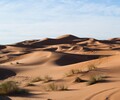 青海沙漠植物種植土壤生態固沙劑
