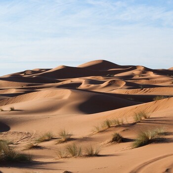 博尔塔拉沙漠治理水土流失粘合剂批发商