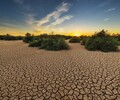 庫爾勒沙漠荒漠治理修復土壤粘合劑
