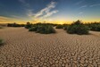 蘭州水土流失治理法國愛森土壤粘合劑
