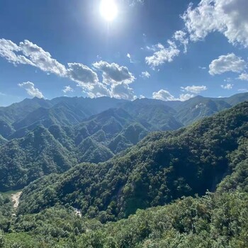 辽阳矿山治理绿化工程土壤PH值调节剂