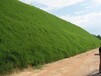 重慶高性能生態基材護坡綠化工程