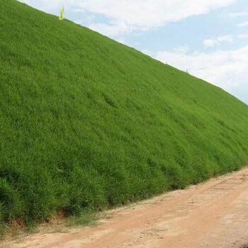 西安高性能生態(tài)基材噴播植草灌防護(hù)