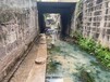 上海黑臭水體治理底泥生態修復工程技術