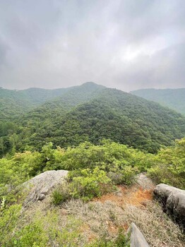 黑河礦山植被恢復工程噴播綠化基質(zhì)粘合劑