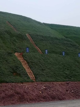 合山廢棄礦山生態(tài)修復工程邊坡綠化團粒劑銷售