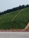 贵州矿山植被生态边坡防护绿化工程土壤团粒剂