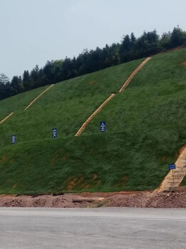 重慶山體植被恢復(fù)工程噴播綠化生態(tài)基材銷售