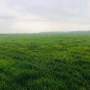 ?？谏鷳B(tài)基材邊坡植被防護(hù)工程材料