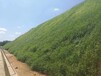 渭南边坡植草工程喷播绿化土壤基质保水剂