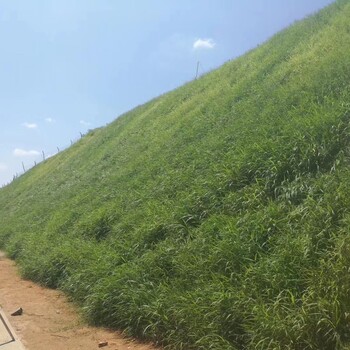 北京山體植被生態修復噴播綠化土壤團粒劑