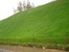 湖南生态基材层护坡绿化增活有机基质