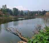 北京河道水生态综合治理工程底泥固化剂