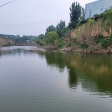 浙江海岸河道治理工程淤泥底泥固化劑圖片