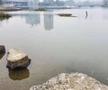 重慶城市湖泊河道藍藻礦物凈水劑