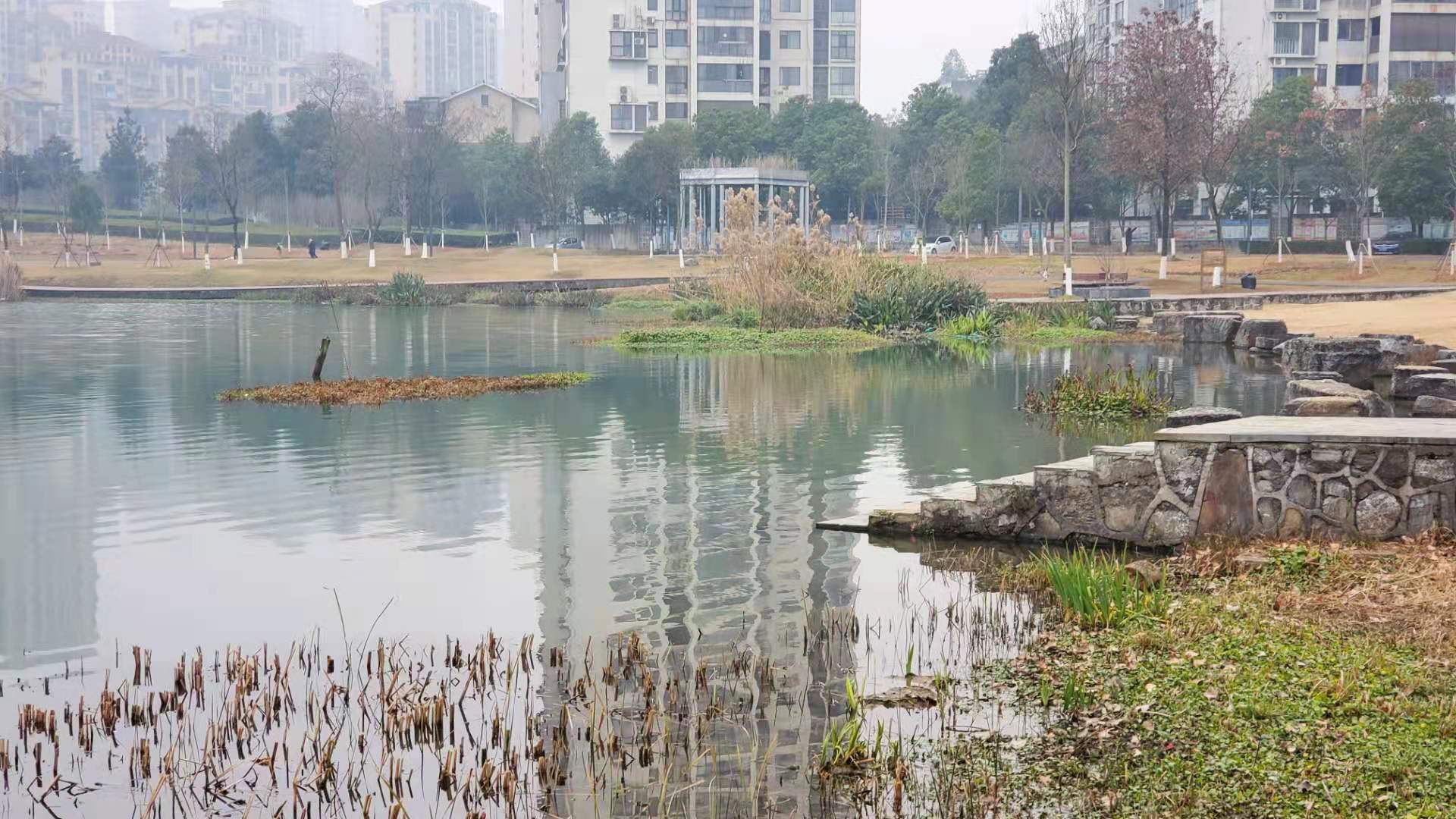 深圳河道底泥生态修复技术团粒结构改良剂