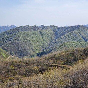 北京山體植被生態修復噴播綠化土壤團粒劑