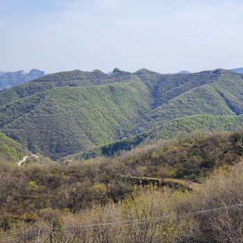 重庆山体生态修复工程彩光绿化喷播土壤稳定剂