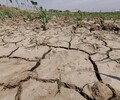 上海沙漠水土流失修復土壤團粒結構改良劑