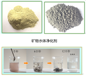 广州污水处理小型移动全自动一体化设备矿物絮凝剂