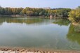 邢台河湖富营养水体治理无机矿物净水剂