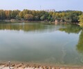 邢臺河湖富營養水體治理無機礦物凈水劑