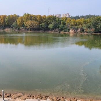 衡陽河湖黑臭水體治理凈化中性無機礦物凝集劑