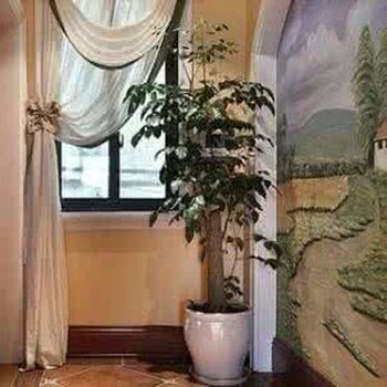 天津家庭裝修墻體彩繪畫