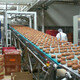 st_industries_food_production