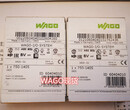 万可WAGO750-370/750-375/750-377通讯模块