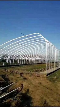 洪湖定制西瓜大棚加工定做安裝