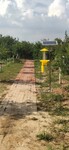 JIADUO卫农杀虫灯防治苹果种植虫害种类