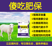 养殖户如何实现羊养殖的高产、高收？