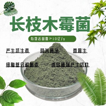 長枝木霉瓜果蔬菜種植預防真菌病害用菌種肥料發(fā)酵菌種