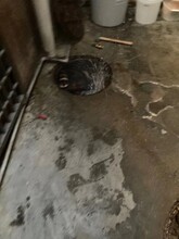 广州市荔湾区抽化粪池公司
