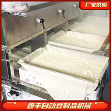 德州豆腐机械设备价格豆腐机生产过程视频小型生产加工创业项目图片