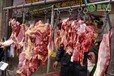 陕西羊肉价格一斤多少钱？陕西有哪些羊种？