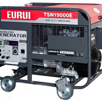 日本東洋發(fā)電機(jī)TSN19000E功率16KW單相