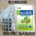 水稻不发蔸就用为峰肥业颗粒锌肥功能性螯合营养肥-螯合高锌
