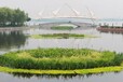 浮动湿地高分子复合纤维浮岛河道湖泊使用使用年限长