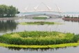 浮田型漂浮湿地复合纤维浮动湿地批发聚酯纤维漂浮湿地厂家